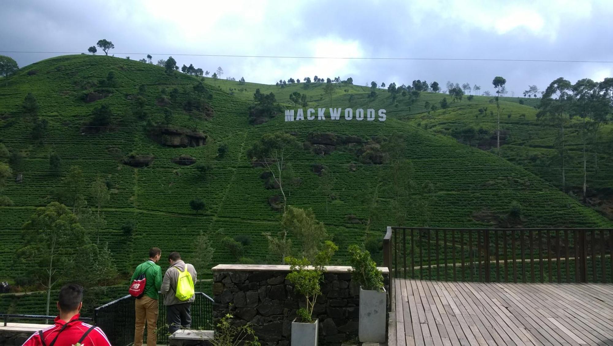 Blue Moon Hotel Nuwara Eliya Dış mekan fotoğraf